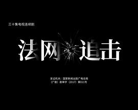 法网追击第02集