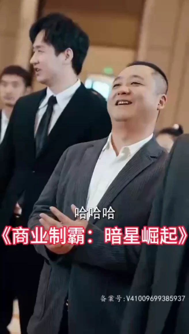 商业制霸：暗星崛起全集(大结局)
