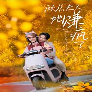 顾总夫人她赚疯了全集(大结局)