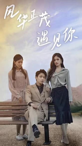 风华正茂遇见你1-20集