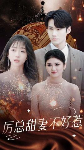 历总前妻不好惹全集(大结局)