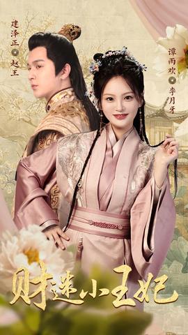 财迷小王妃全集(大结局)