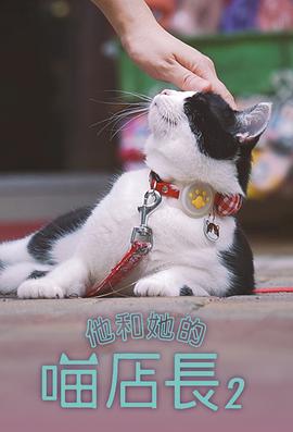 他和她的喵店长2第02集