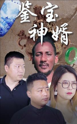 鉴宝神婿全集(大结局)