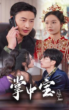 掌中宝全集(大结局)