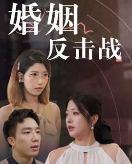 婚姻反击战全集(大结局)