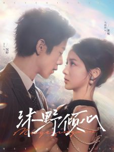 沐野倾心第41-60集