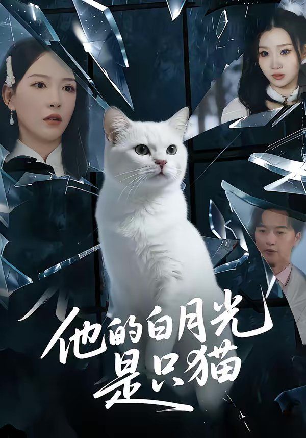 他的白月光是只猫(全集)