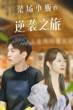 菜场小贩的逆袭之旅第21-40集